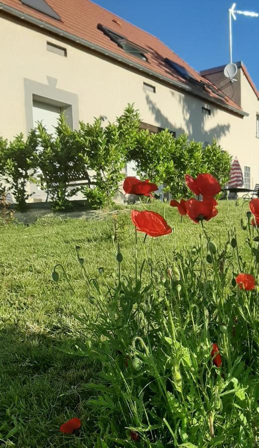 Le Feneau Maison D'Hotes Creuzier-le-Neuf Exteriér fotografie